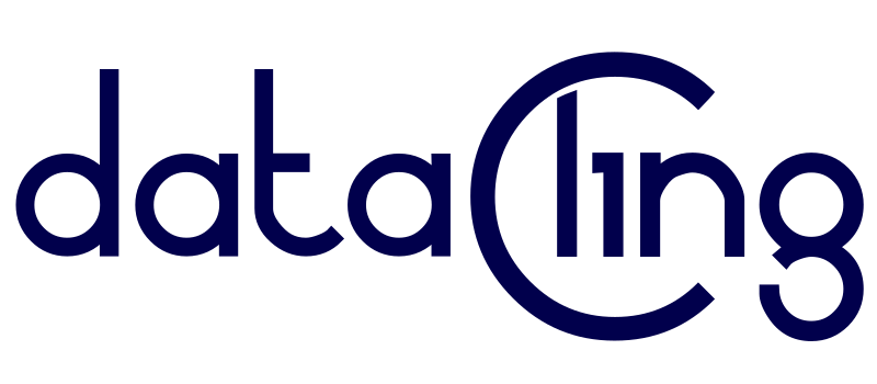 Data Cling Logo